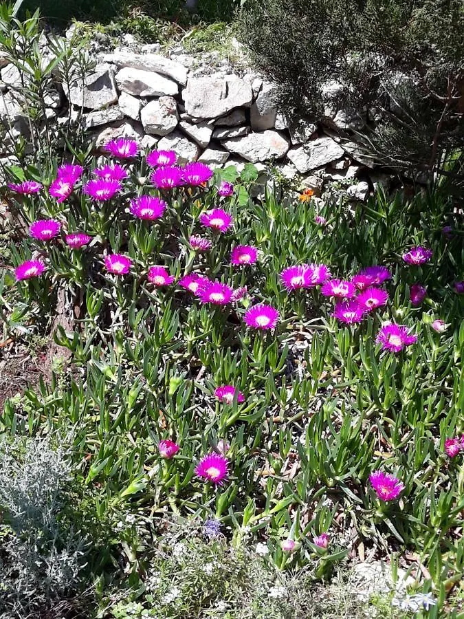 Holiday Home Villa Esperanca Veli Lošinj 0*,  Κροατία